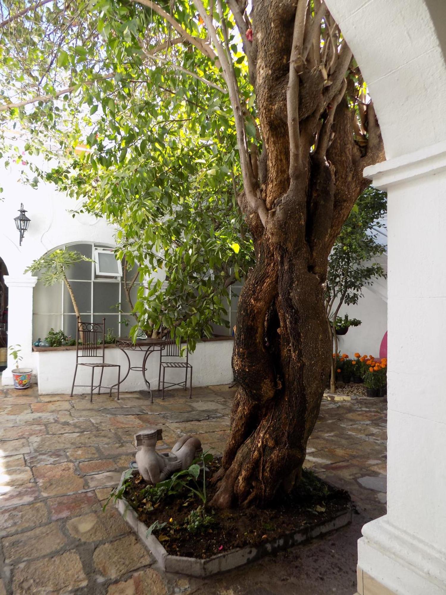 Hotel Casa San Miguel San Miguel de Allende Luaran gambar